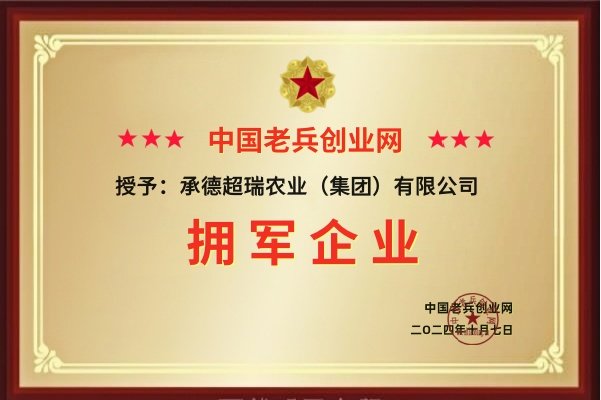 净月潭边绿意盎然